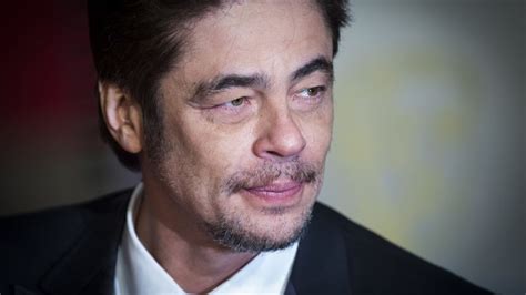 benicio del toro wikipedia.